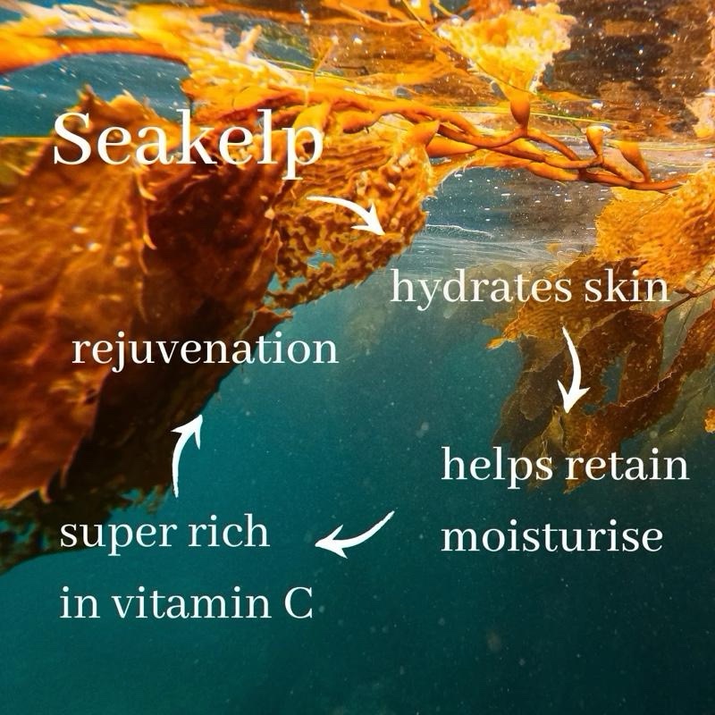 Dior Sauvage & Jador & More Hydrate Body Wash - Image 10